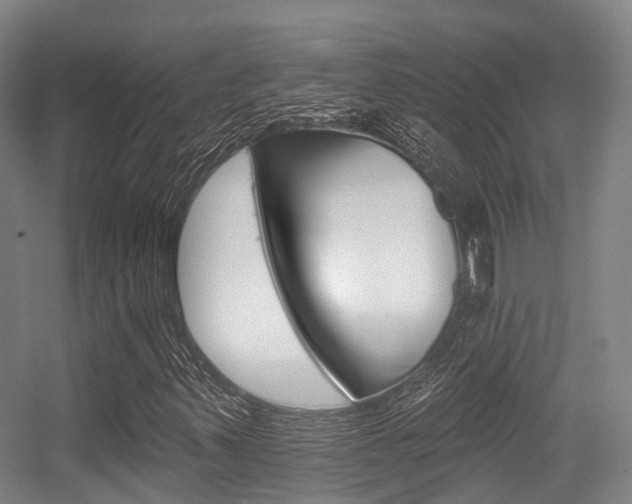 X0000056311347200508260814