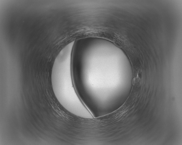 X0000056311348200508260814