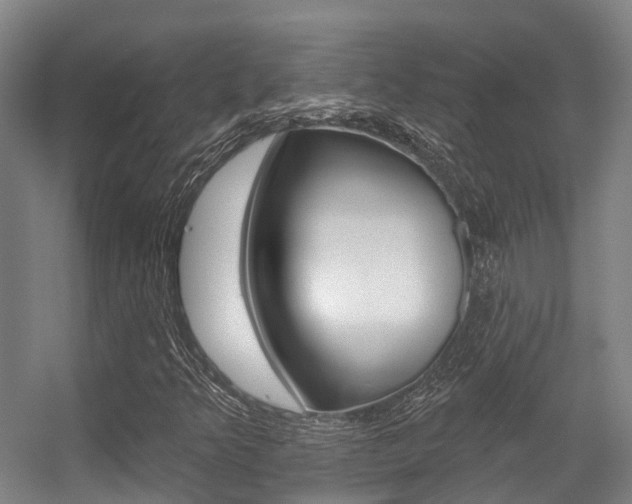 X0000056311349200508260814