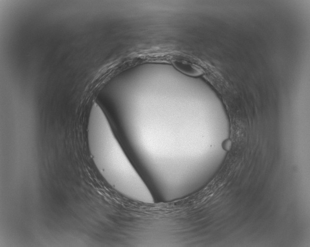 X0000056311350200508260814