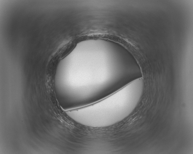 X0000056311351200508260814