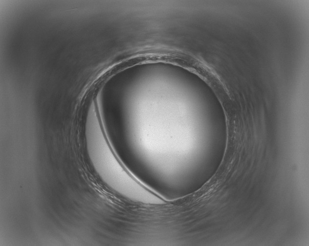 X0000056311352200508260814