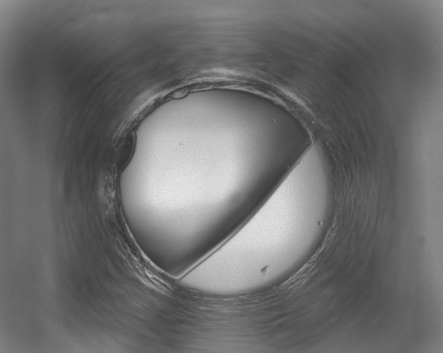 X0000056311355200508260814
