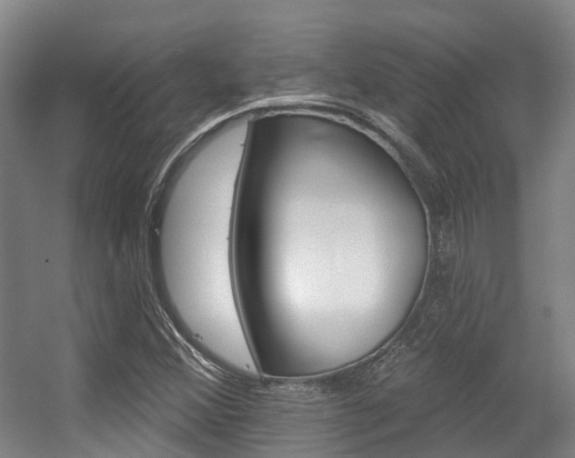 X0000056311356200508260814