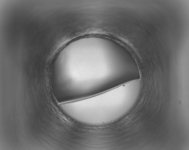 X0000056311359200508260814