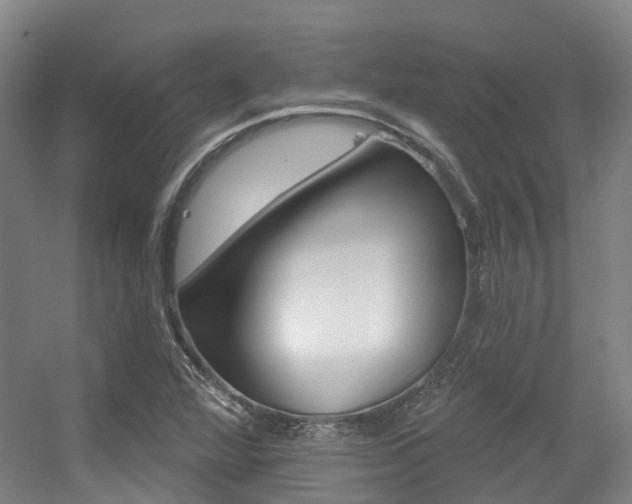 X0000056311360200508260814