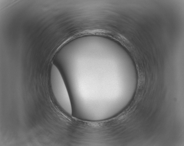 X0000056311361200508260814