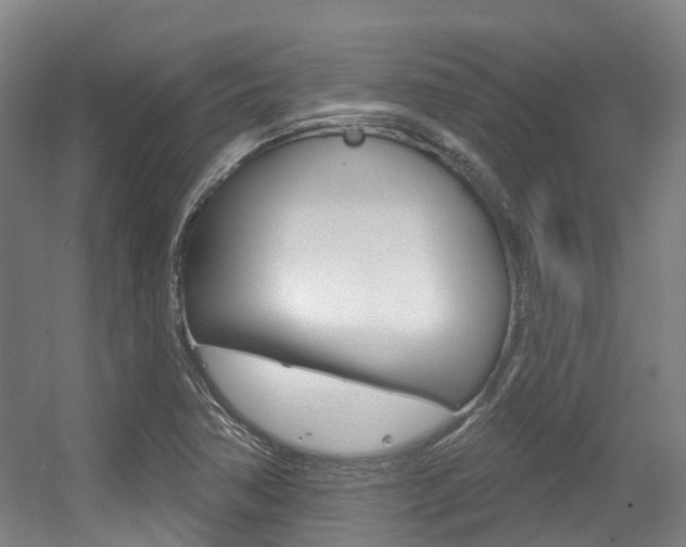 X0000056311362200508260814