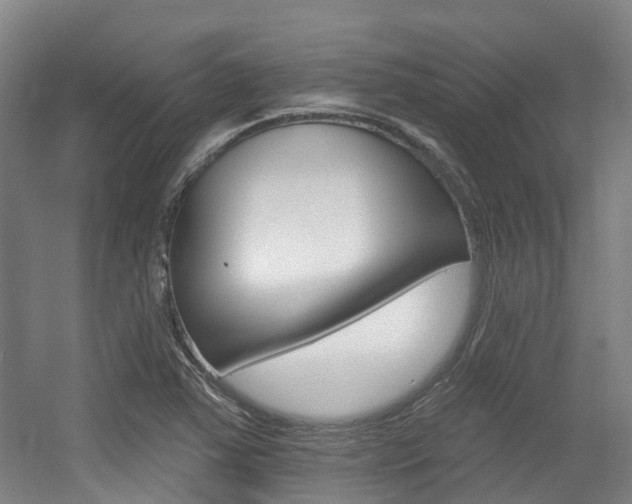 X0000056311363200508260814