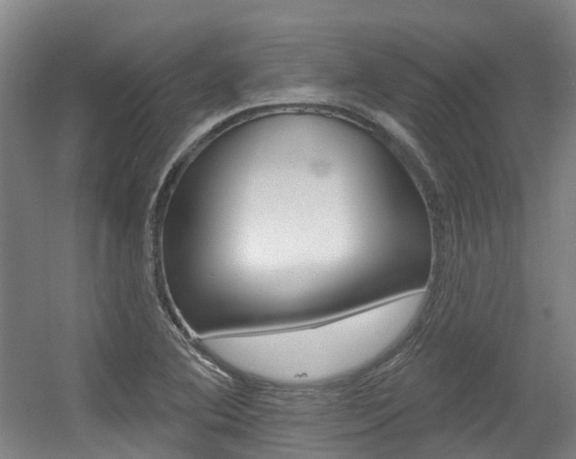 X0000056311364200508260814