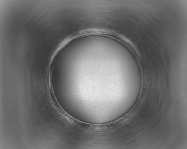 X0000056311365200508260814