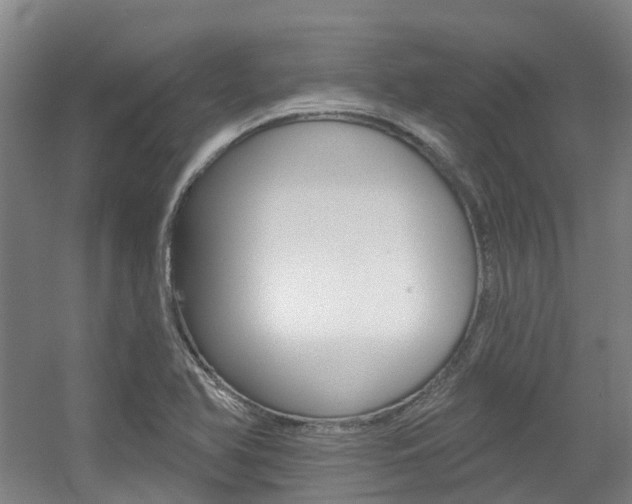X0000056311366200508260814