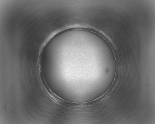 X0000056311367200508260814