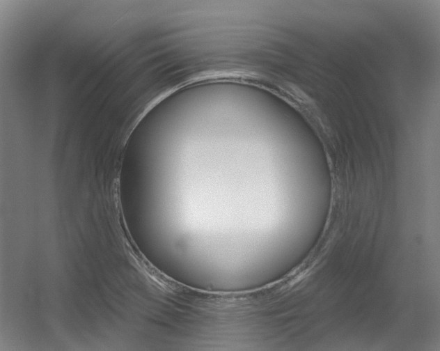 X0000056311369200508260814