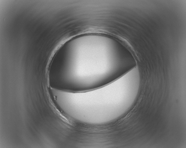 X0000056311371200508260814
