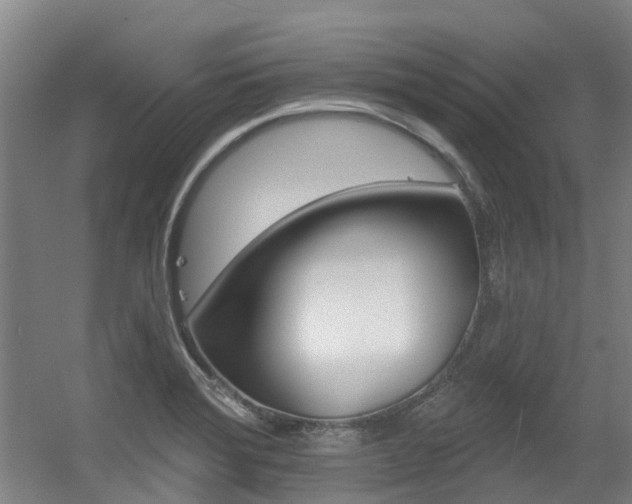 X0000056311372200508260814