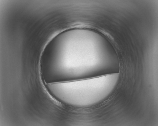 X0000056311375200508260813