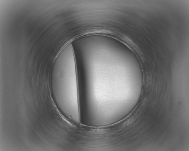 X0000056311377200508260813