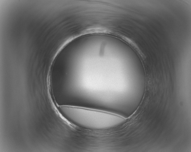 X0000056311383200508260813