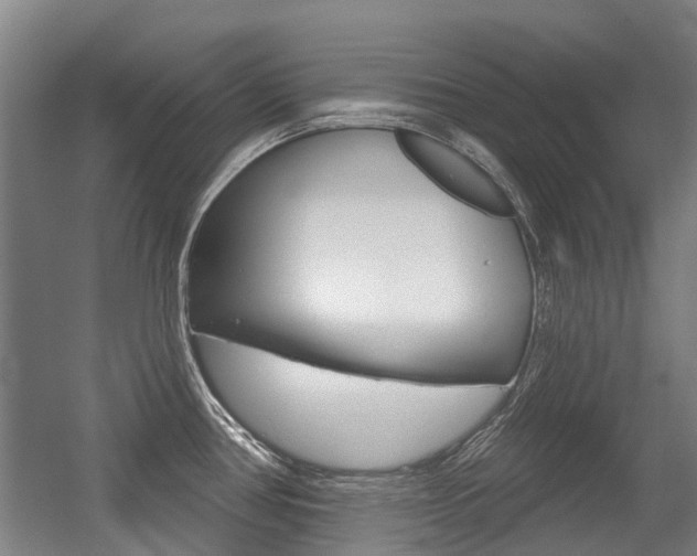 X0000056311386200508260813