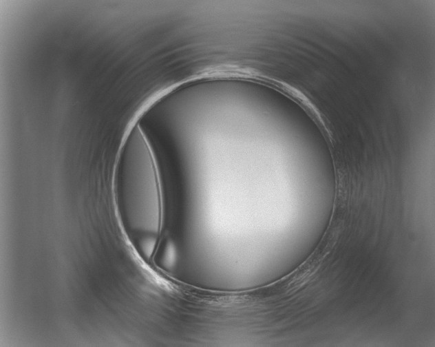 X0000056311387200508260813