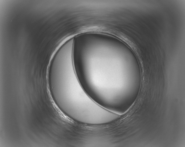 X0000056311392200508260813