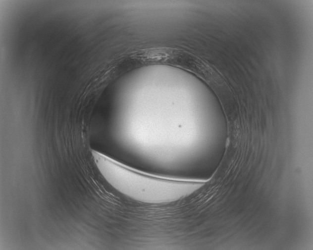X0000056311394200508260812
