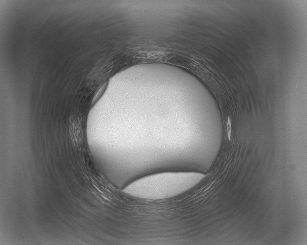 X0000056311395200508260812
