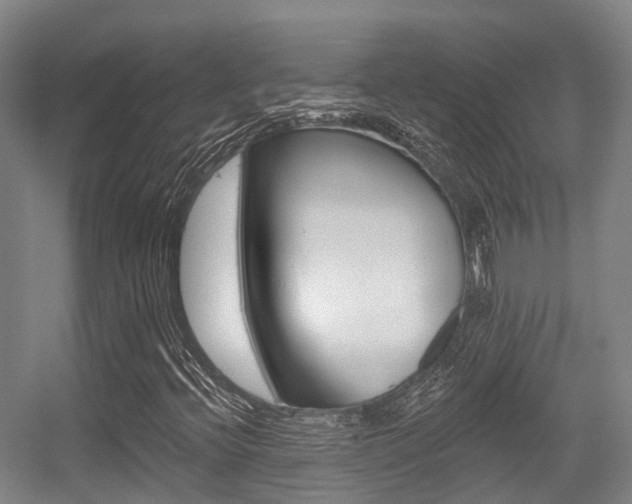 X0000056311396200508260812