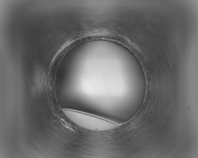 X0000056311400200508260813