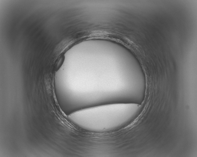 X0000056311401200508260813