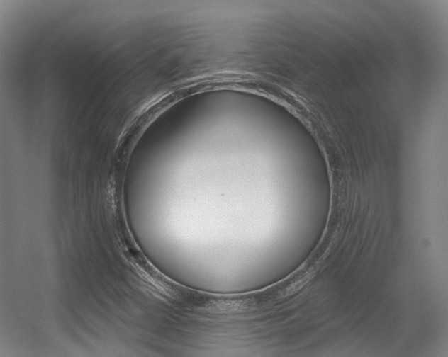 X0000056311402200508260813