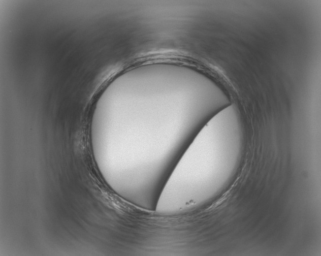 X0000056311405200508260813