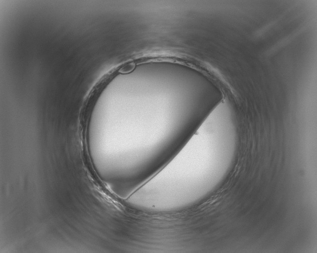 X0000056311408200508260813