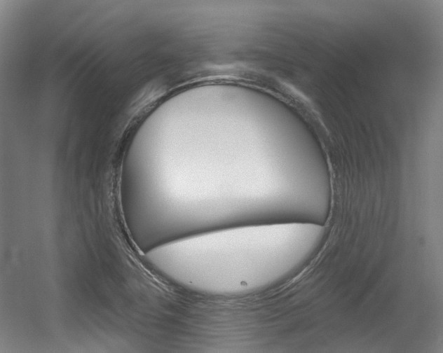 X0000056311411200508260813