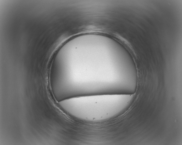 X0000056311415200508260813