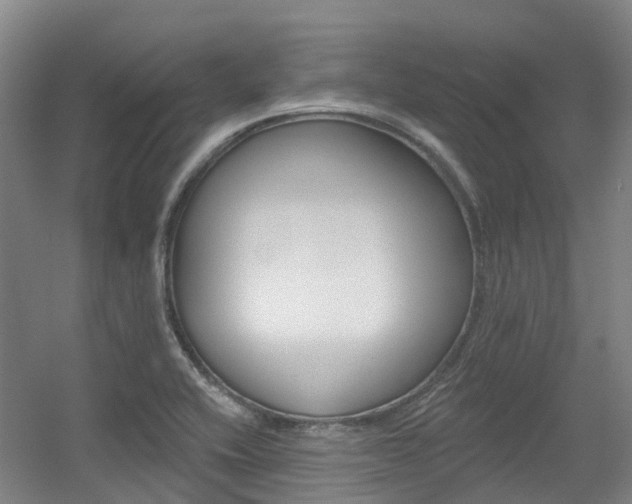 X0000056311416200508260813