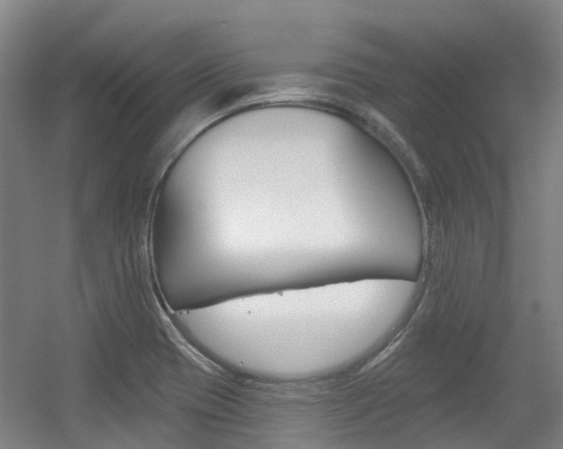 X0000056311417200508260813
