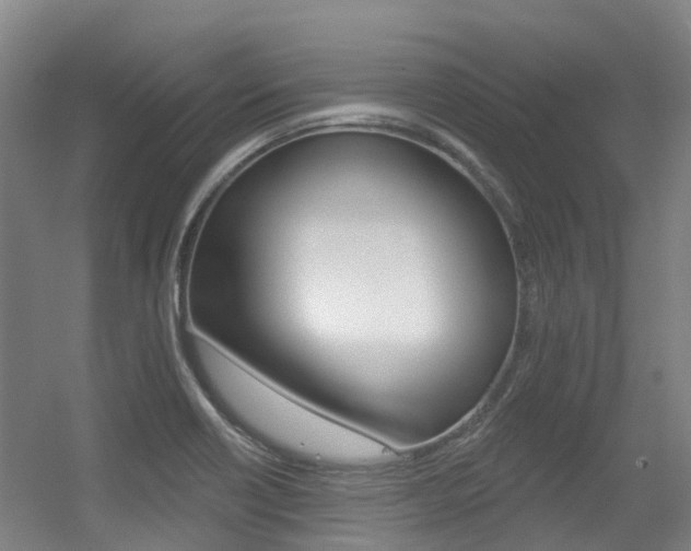 X0000056311418200508260813