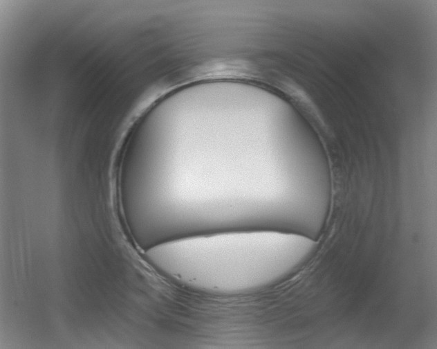 X0000056311419200508260813
