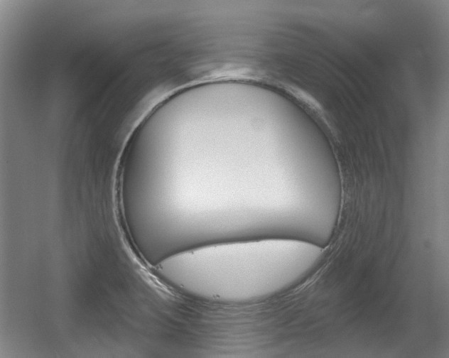 X0000056311423200508260813