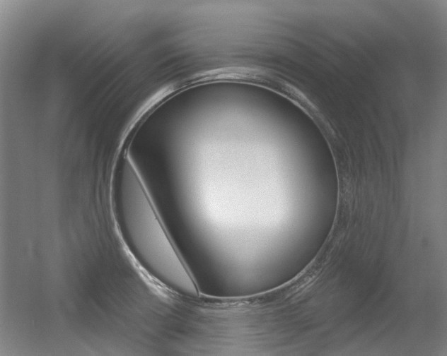 X0000056311426200508260813