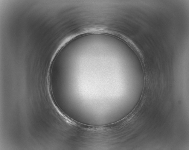 X0000056311432200508260813