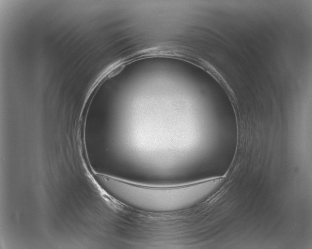 X0000056311434200508260813
