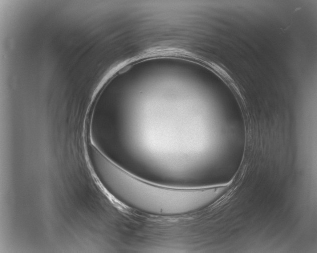 X0000056311438200508260813