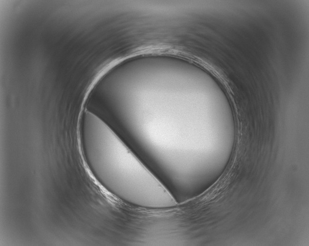 X0000056311440200508260813