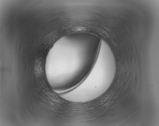 X0000056311442200508260812