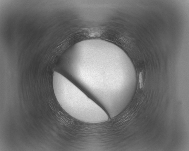 X0000056311443200508260812