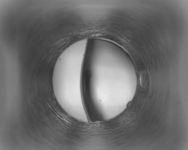 X0000056311444200508260812