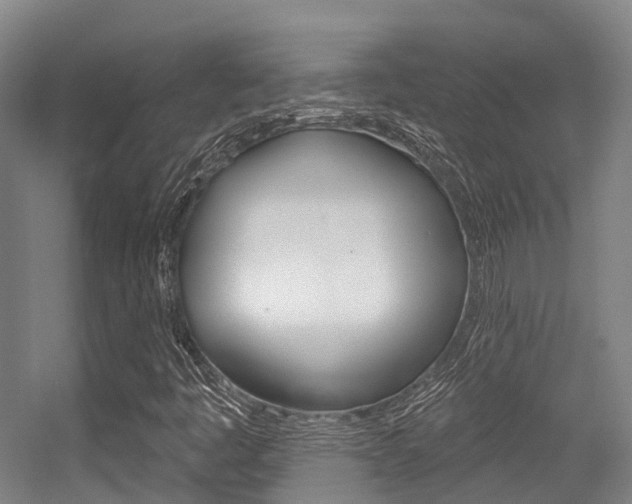 X0000056311445200508260812